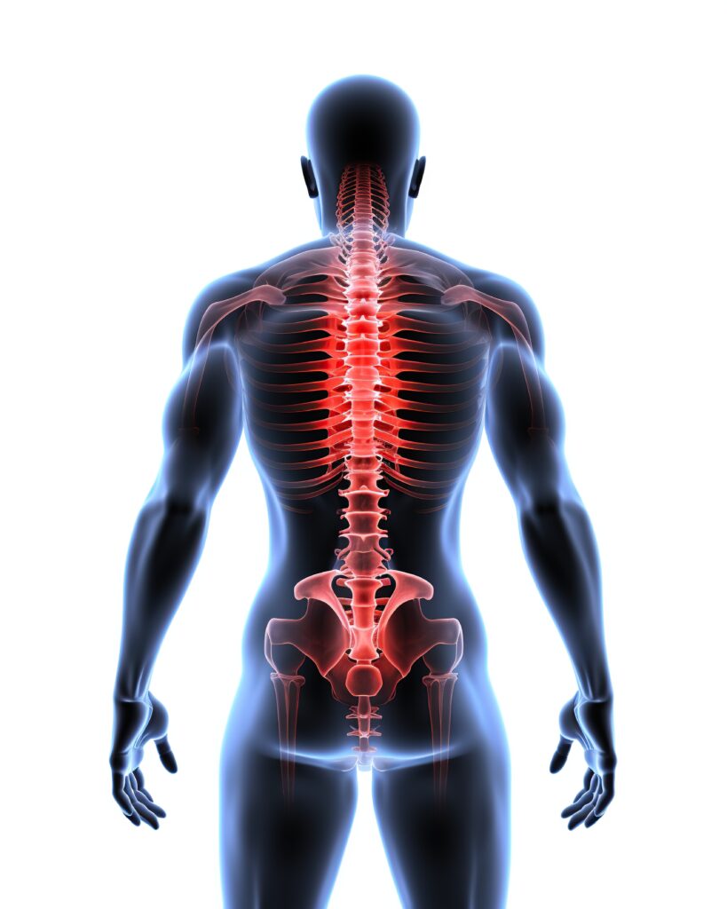 médico ortopedista cirugião